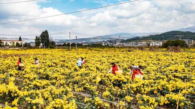 钟山区大湾镇最新图片，展现魅力与活力的地方风采