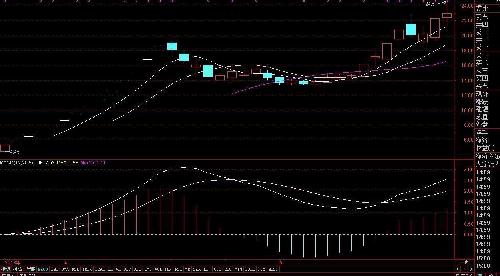 罗顿发展重组最新消息全面解析