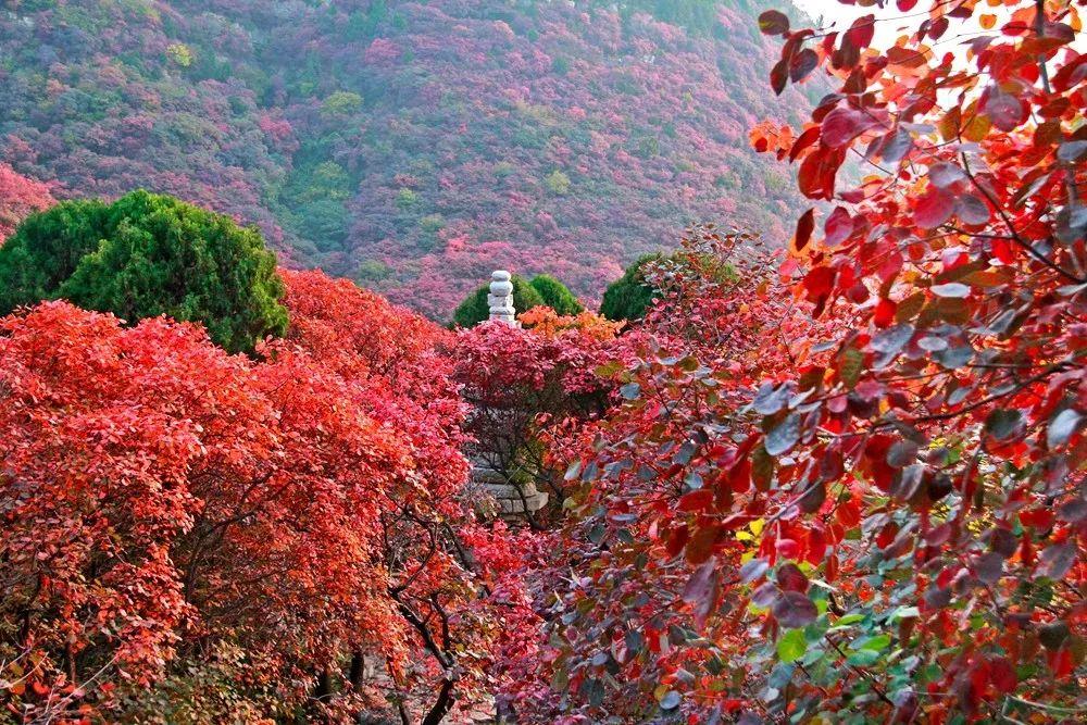 香山乡领导团队引领地方发展迈向新高度