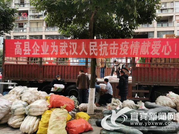 高县自然资源和规划局新项目推动地方可持续发展