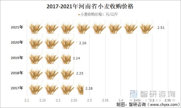 河北保定小麦最新价格动态及分析概述