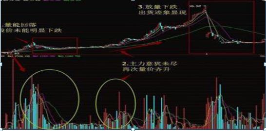 智度投资最新公告解析及动态关注