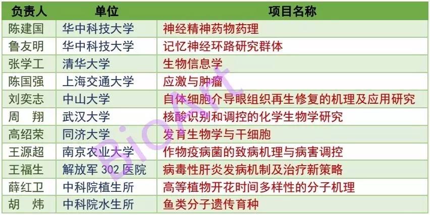 市场营销策划 第60页