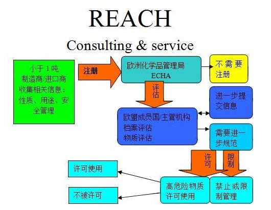 REACH标准第169项更新，企业面临的新挑战与机遇解读