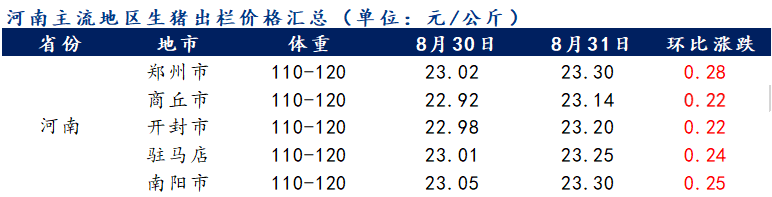 驻马店最新猪价动态分析与趋势预测