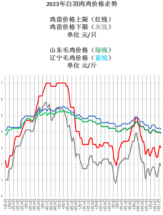 今日肉鸡价格概览，最新行情与分析