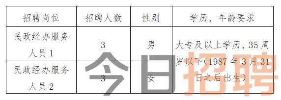 桃山区计划生育委员会最新招聘信息与招聘展望概览