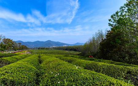 旅游开发项目 第27页