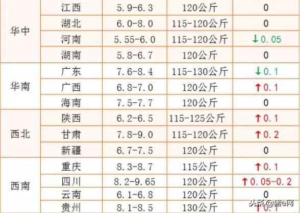 摄影视频 第22页