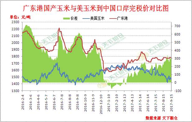 山东玉米最新趋势分析概览