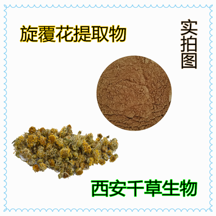 旋覆花最新价格与市场动态分析摘要