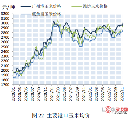 滨州玉米最新价格及市场走势与影响因素分析